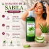 Shampoo Sábila Hidratante